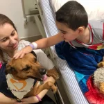 Terapia-Assistida-por-Animais-CPL-Foto-divulgacao-4-e1667834516692
